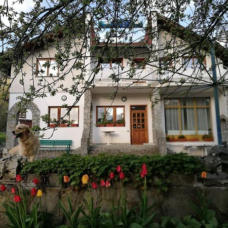Самостоятелни стаи в къща за гости Балкан Рибарица Экстерьер фото