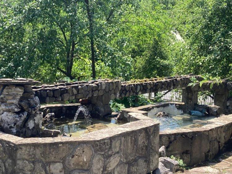 Самостоятелни стаи в къща за гости Балкан Рибарица Экстерьер фото
