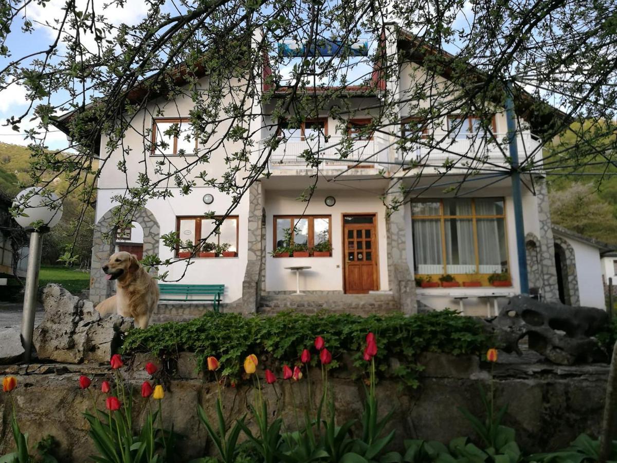 Самостоятелни стаи в къща за гости Балкан Рибарица Экстерьер фото